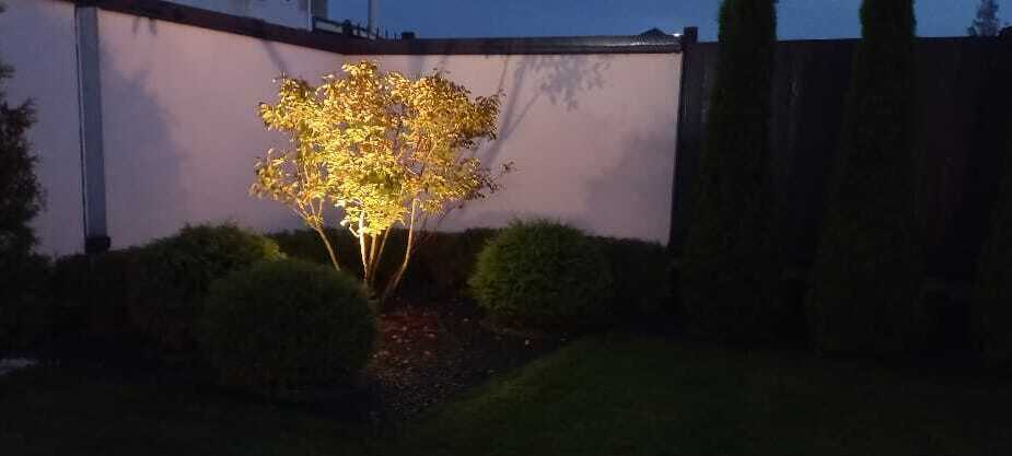 &nbsp; &nbsp; &nbsp; &nbsp; &nbsp;ОСВЕЩЕНИЕ ТЕРРИТОРИИ&nbsp; &nbsp; &nbsp; &nbsp; &nbsp; &nbsp; &nbsp; &nbsp; подсветка растений&nbsp; &nbsp; &nbsp; подсветка фасадов